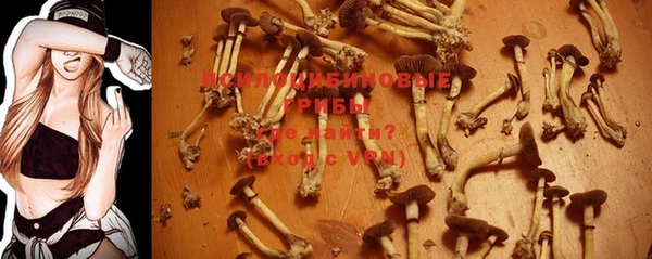 ECSTASY Бугульма