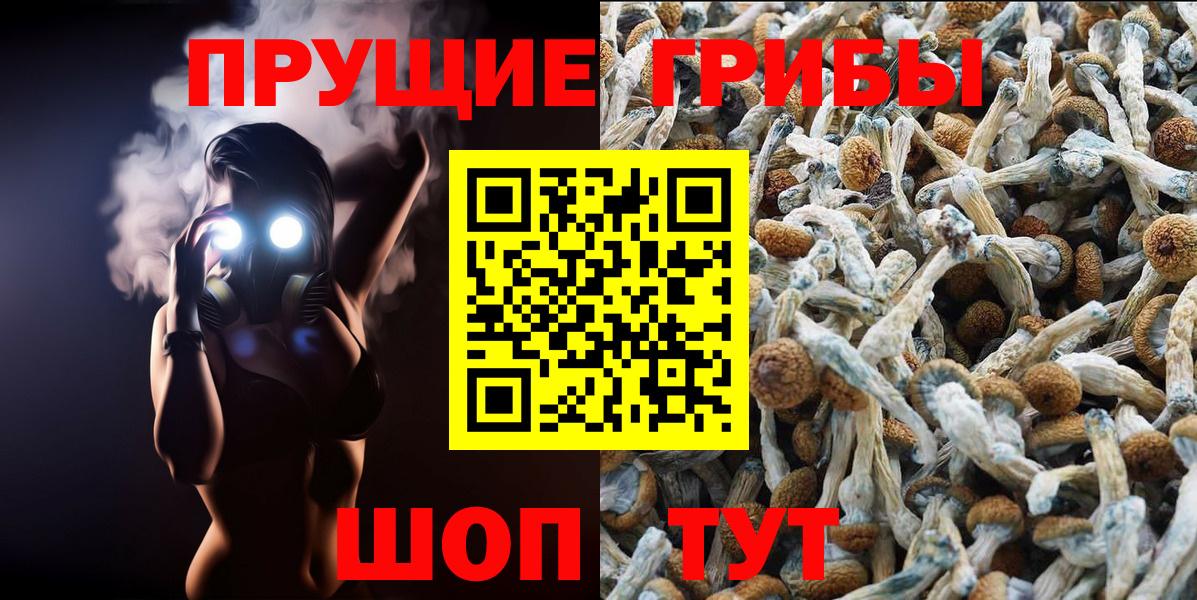 продажа наркотиков  Галлюциногенные грибы Magic Shrooms  Вход с VPN  Галлюциногенные грибы ЛСД  Вятские Поляны 