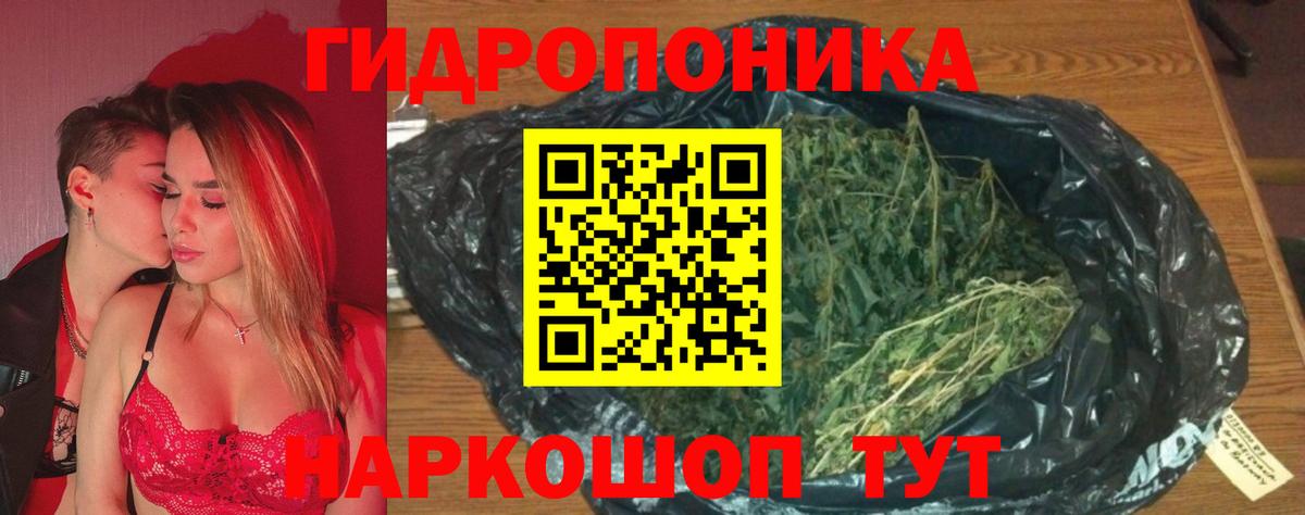 Каннабис OG Kush Вятские Поляны